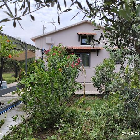 Olea Cottage Galatás Exterior photo