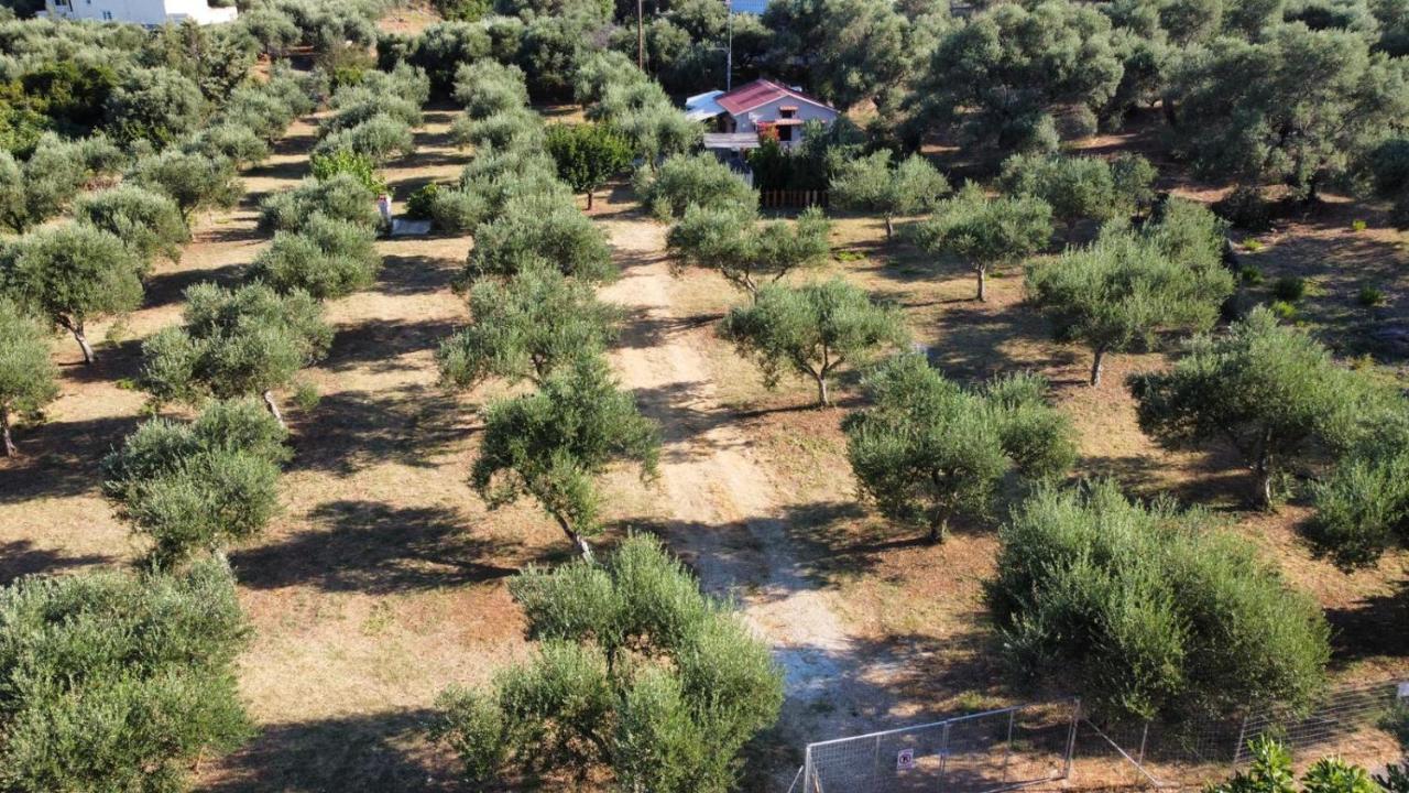Olea Cottage Galatás Exterior photo