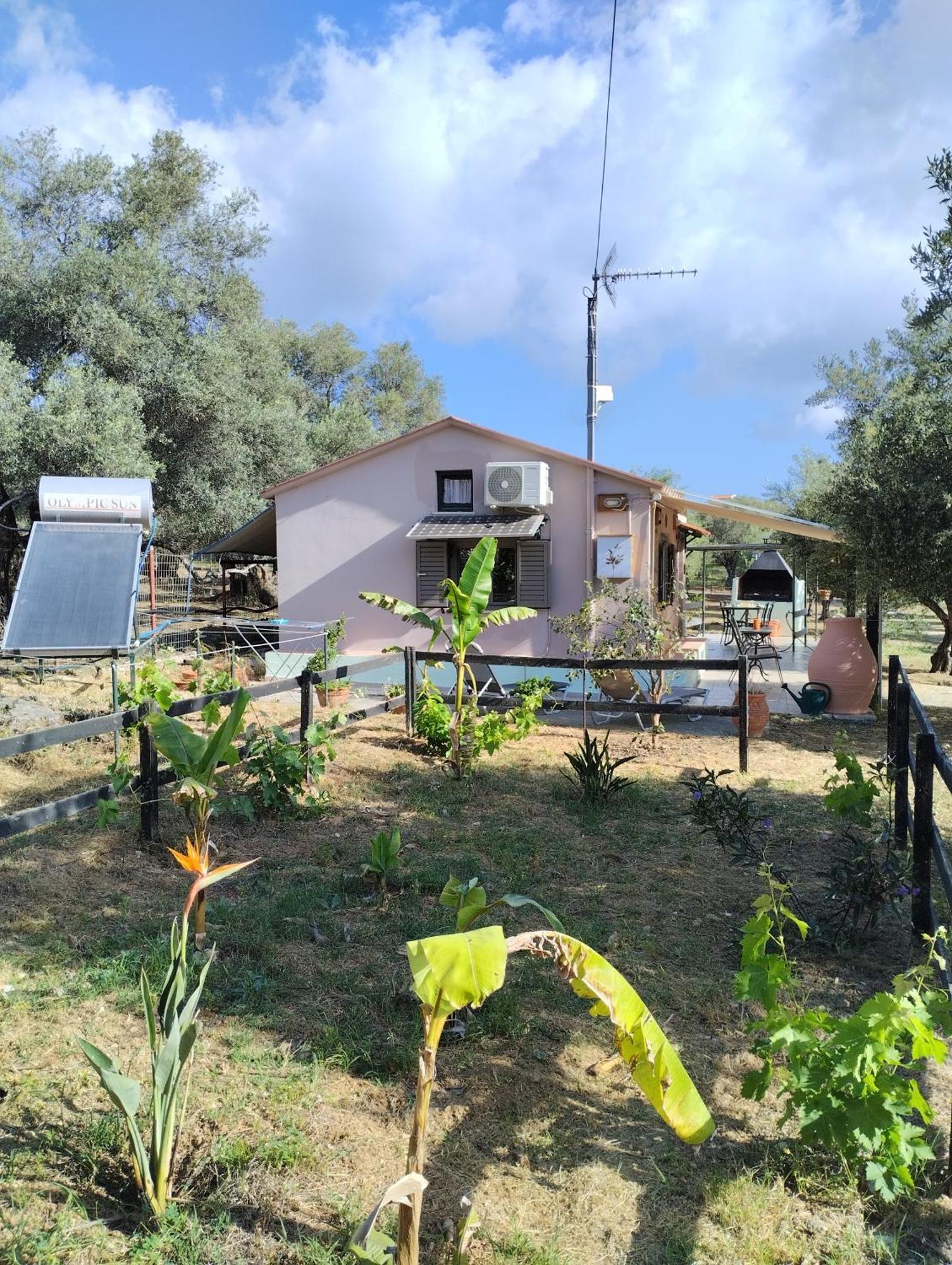 Olea Cottage Galatás Exterior photo